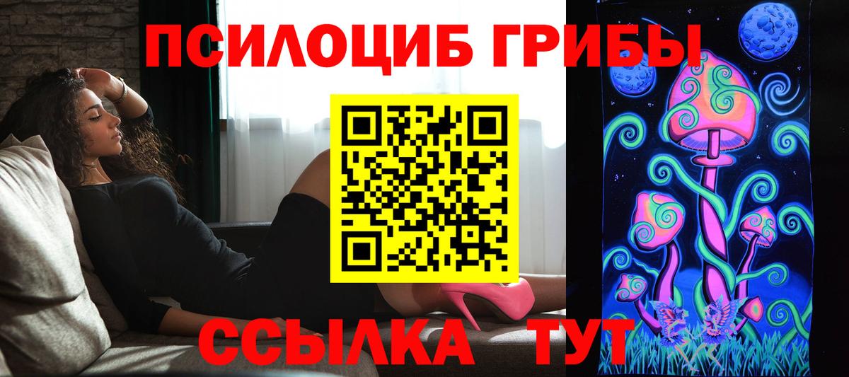 Псилоцибиновые грибы Psilocybe  Вход с VPN  Кольчугино  Галлюциногенные грибы Psilocybine cubensis 