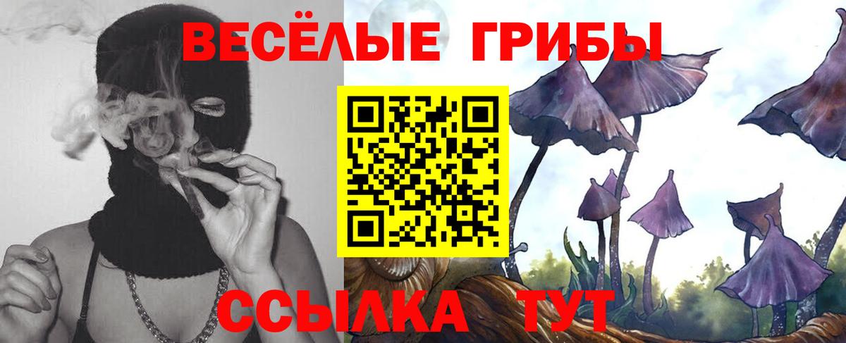 Галлюциногенные грибы Psilocybine cubensis Кольчугино